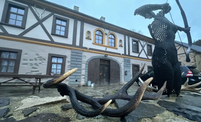 Главврач-гинеколог устроил сафари-охоту на животных – вместо суда отделался штрафом