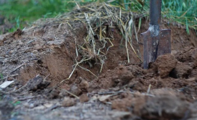 Похоронили заживо в лесопарке: в Праге начался суд по громкому делу