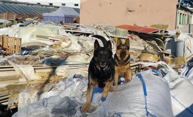 Очередная партия немецкого мусора у Брно. Моравия превращается в 
