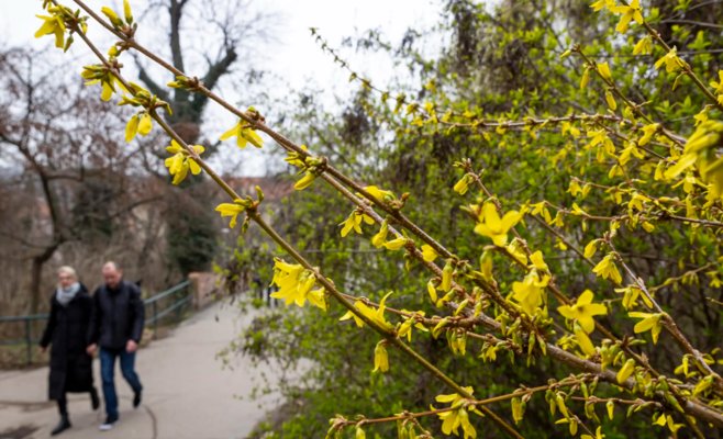 Приятная весенняя погода сменится охлаждением на следующей неделе