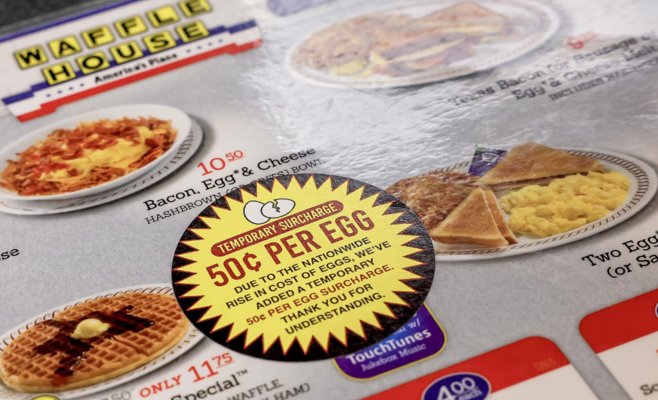 Позволить птичьему гриппу убивать? Министр США предложил опасный эксперимент, учёные возмущены