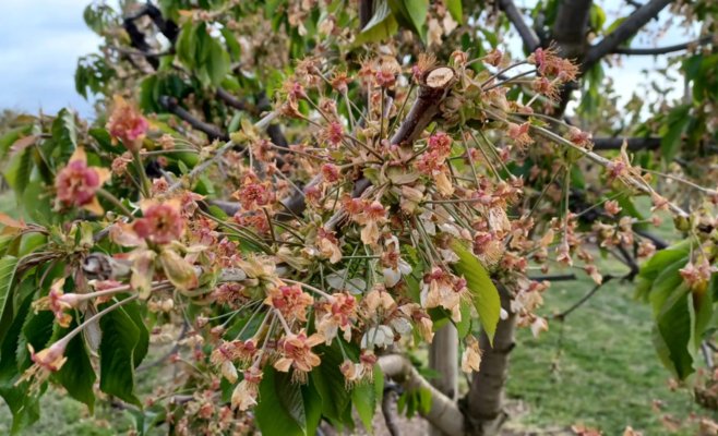 На выходных ударят морозы, а на следующей неделе нас ждут холодные дни