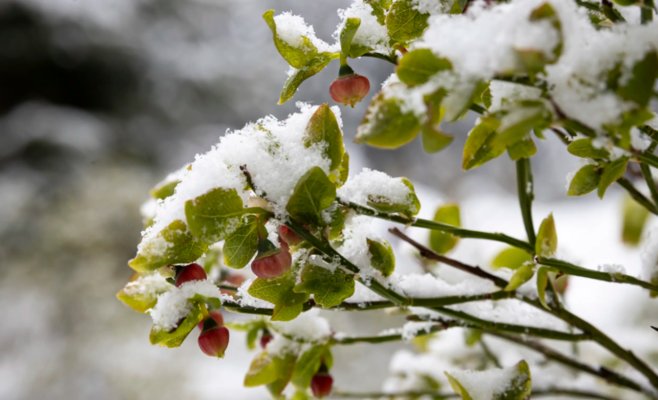 На выходных ударят морозы, а на следующей неделе нас ждут холодные дни