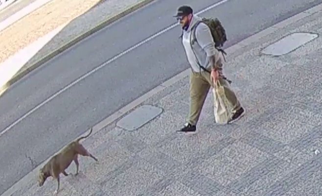 Брутальное нападение в парке Летна: мужчине выбили зубы и разорвали подбородок — полиция разыскивает нападавшего