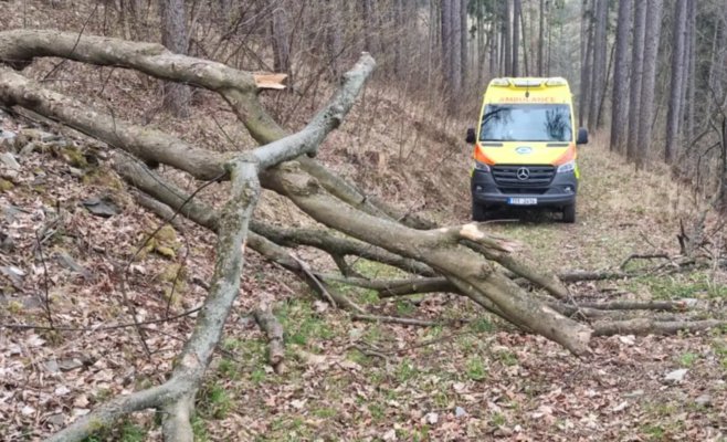 На юге Моравии двое мужчин сорвались со склона: оба были пьяны