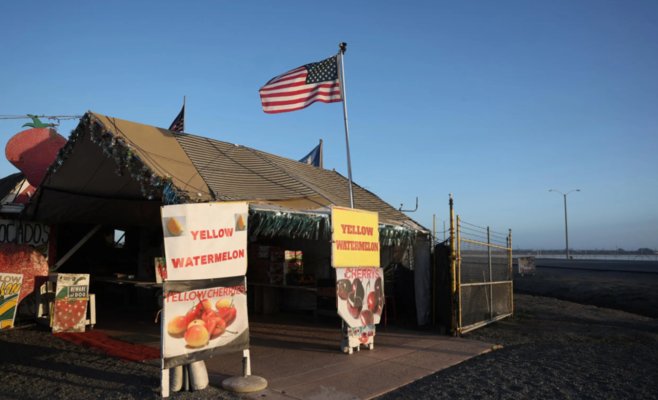 На фермах Калифорнии некому собирать урожай: антимиграционные рейды парализуют сельское хозяйство