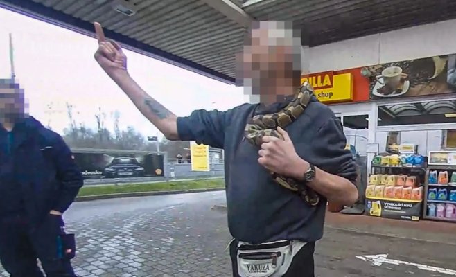 Ужас на заправке в Пльзени: мужчина с питоном терроризировал людей, его заключили под стражу