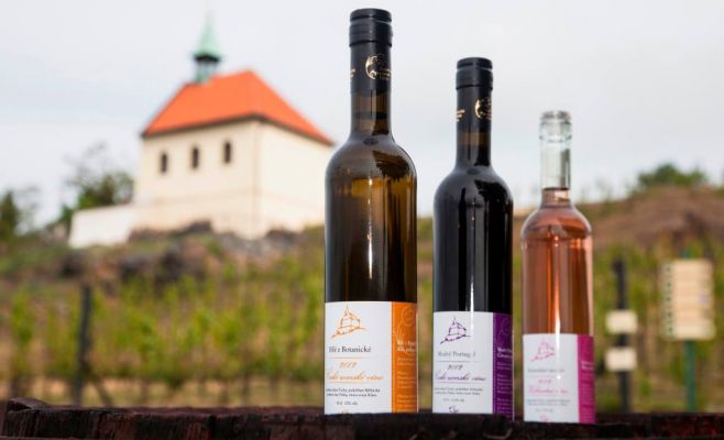 «Винобрани» в виноградниках Св. Клары