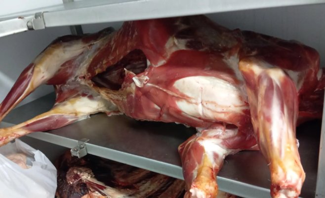 В пражском ресторане нашли мясо с нелегальной бойни — среди него и говяжья голова с глазами