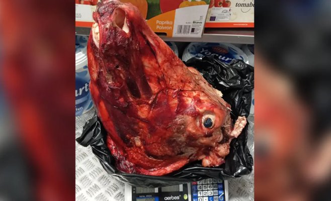 В пражском ресторане нашли мясо с нелегальной бойни — среди него и говяжья голова с глазами