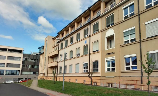 В Карловых Варах 12-летняя девочка родила ребёнка. Отцом может быть её брат