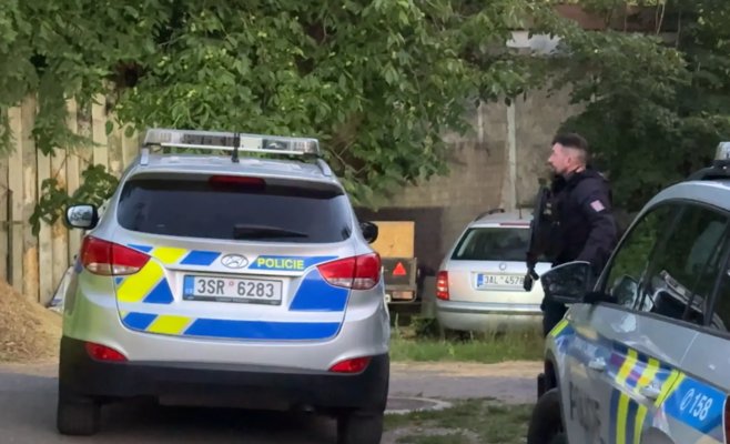 Под Прагой лев напал на человека и сбежал из клетки. Полиции пришлось застрелить хищника