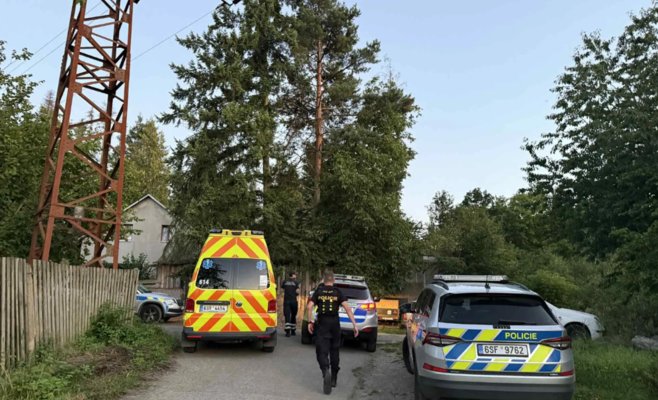 Под Прагой лев напал на человека и сбежал из клетки. Полиции пришлось застрелить хищника