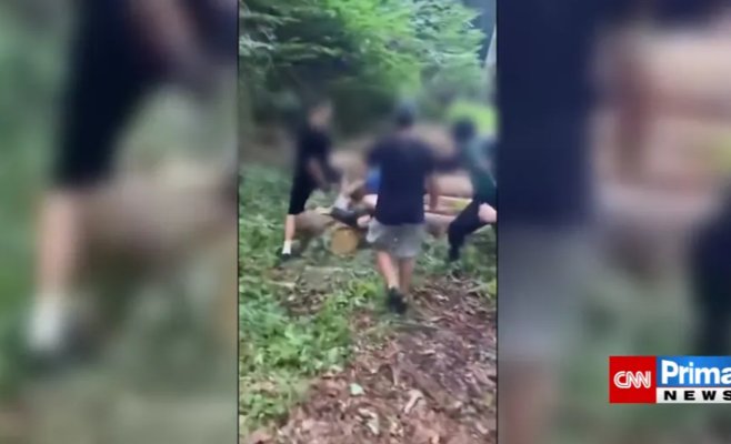 На юге Моравии школьники жестоко избили мужчину — его подозревают в переписке с 13-летней девочкой