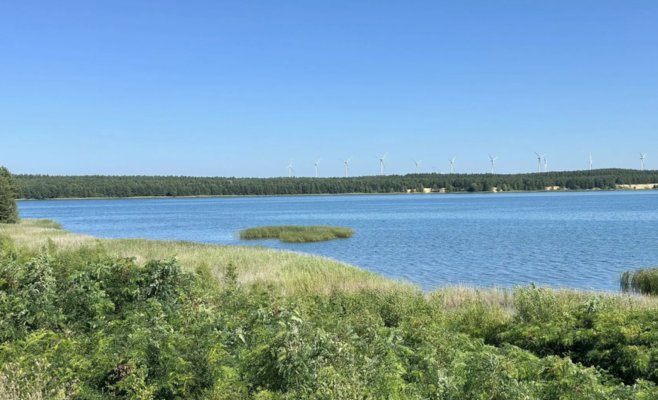 Пропавшего чешского подростка нашли мёртвым в Германии: обстоятельства загадочны