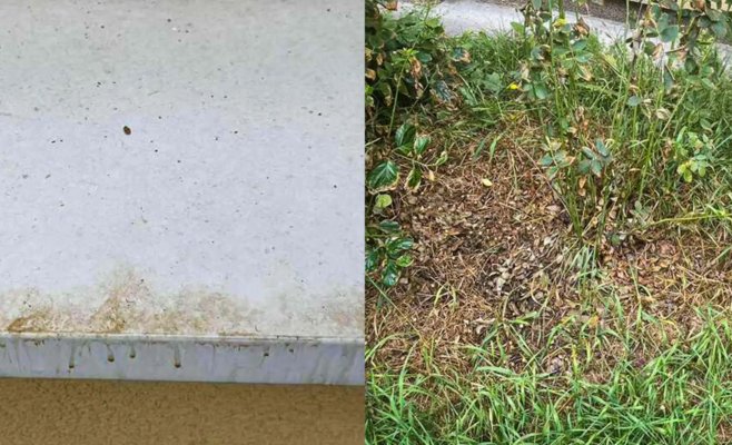 Пенсионер выливает мочу из окна пльзеньской многоэтажки: соседи жалуются на смрад и безвыходность