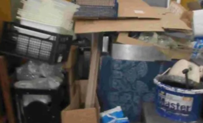 Инспекторы нашли мёртвых мышей: в Брно закрыли ресторан Don