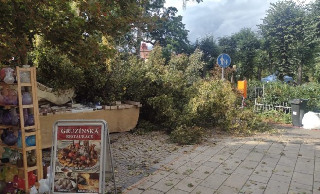 В Карловых Варах дерево рухнуло на торговые палатки и ранило двух человек