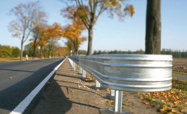 Каждое тридцатое столкновение с деревом заканчивается смертью. Худшая статистика — в Среднечешском крае