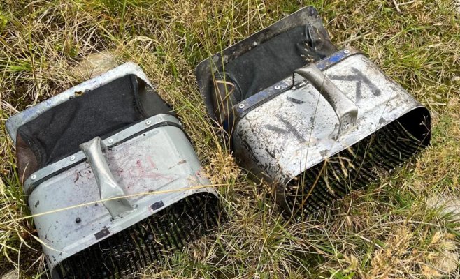 Черники в Крконоше в этом году меньше, но из Польши продолжают приезжать группы организованных сборщиков