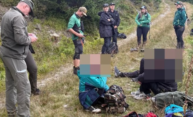 Черники в Крконоше в этом году меньше, но из Польши продолжают приезжать группы организованных сборщиков