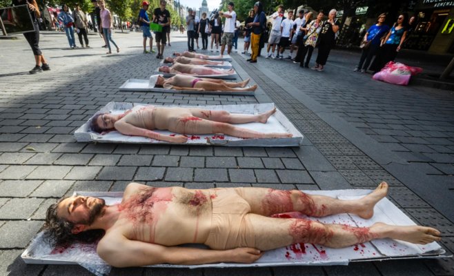 «Не смотри в сторону». В Праге прошёл протест против эксплуатации животных: люди легли в коробки и облили себя искусственной