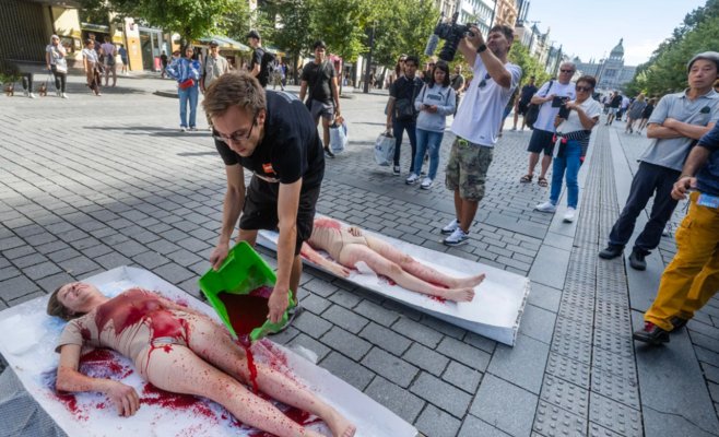 «Не смотри в сторону». В Праге прошёл протест против эксплуатации животных: люди легли в коробки и облили себя искусственной