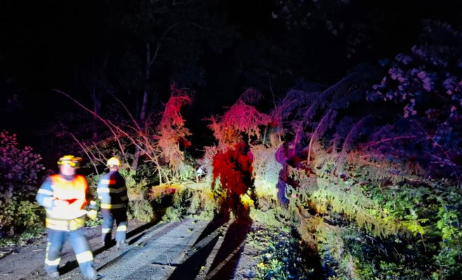 Тысячи домохозяйств остались без электричества из-за сильного ветра