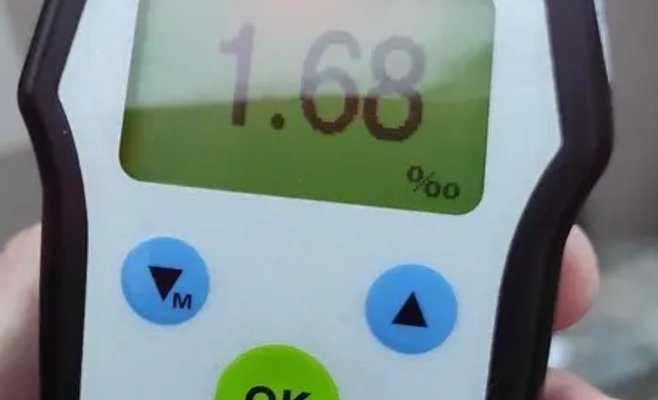 В Тршебони 12-летнюю девочку нашли пьяной: она едва стояла на ногах