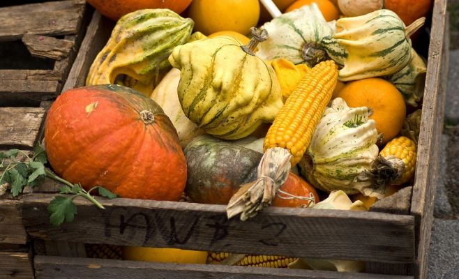 Фермерский рынок в Голешовицах