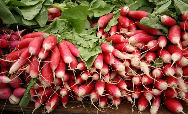 Фермерский рынок в Голешовицах