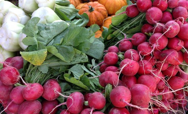 Фермерский рынок в Голешовицах