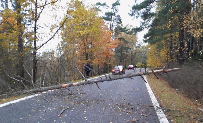 Сильный ветер валит деревья и создаёт проблемы для спасателей по всей Чехии