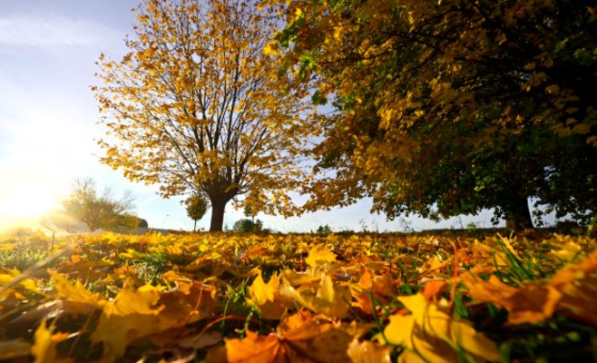 Перелом в погоде: ноябрь принесёт в Чехию аномально тёплые дни