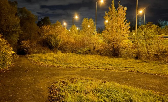 Почти 90-летний мужчина не вернулся с прогулки. Полиция нашла его у плотины