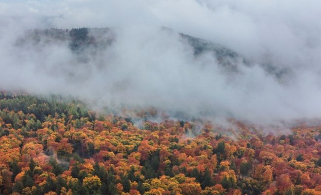 Тёплая осень с сюрпризами: в Чехию возвращается тепло, но не обойдётся без туманов и дождей