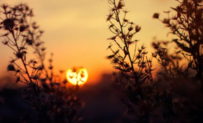 Октябрь стал третьим самым тёплым месяцем в мире за всю историю наблюдений