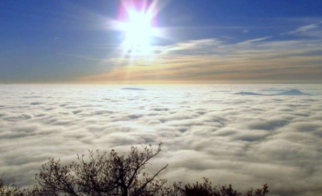 Потепление грядёт: фён может поднять температуру до 18 °C