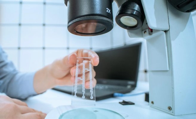 Искусственный интеллект поможет ограничить тесты на животных: Великобритания готовит научную революцию