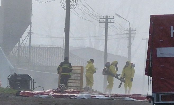 «Неделя жизни — и под нож»: вспышка птичьего гриппа уничтожила более 20 тысяч уток на ферме в Чехии