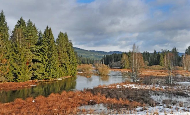 Рекордное тепло на Шумаве: местами температура превысила 20 градусов