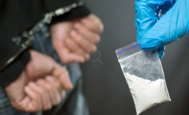 Иностранец продавал наркотики на улицах Варнсдорфа. Сделки проводил во время прогулок с собакой