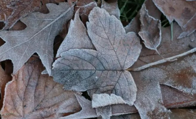 С 17 ноября начинается холодная неделя. Ночью ожидаются заморозки