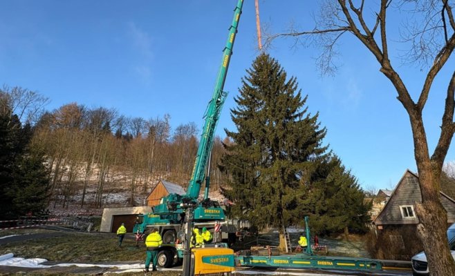 В Прагу отправляется главный символ Рождества: легендарная ель подготовлена к долгой дороге
