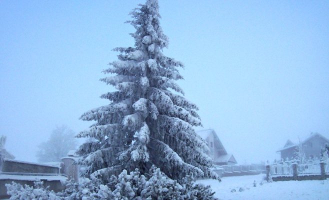 Чехию сковал мороз: на Шумаве температура опустилась до минус 25°C