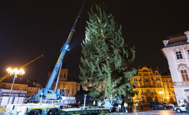 На Староместской площади в Праге установили рождественскую ель