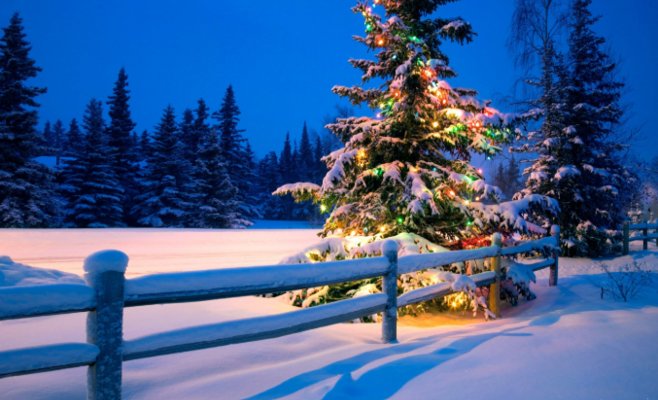 Метеорологи уже почти точно знают, будет ли в этом году белое Рождество