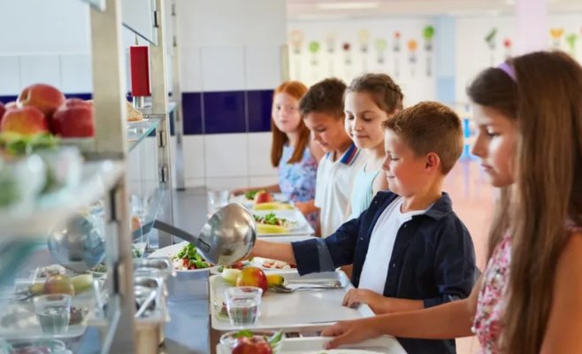 Здоровые школьные обеды или эксперимент над детьми? ANO хочет отменить постановление о рыбе и бобовых