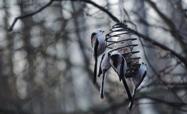 Зима откладывается. В Чехию идёт необычно тёплая погода