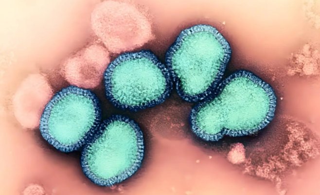 «Грипп в Европе начался раньше обычного. Новый подтип вируса распространяется особенно быстро»